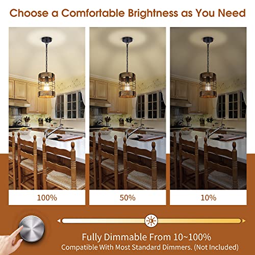 Rustic Pendant Light Fixtures