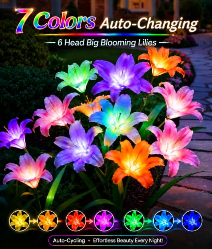 Solar Garden Lights (6 Count)