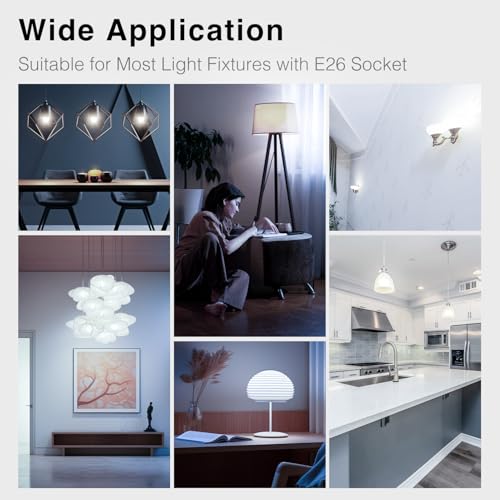 24 Pack LED Bulbs Daylight White 5000K (24 Count)