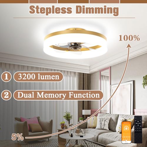 Low Profile Ceiling Fans with Lights and Remote