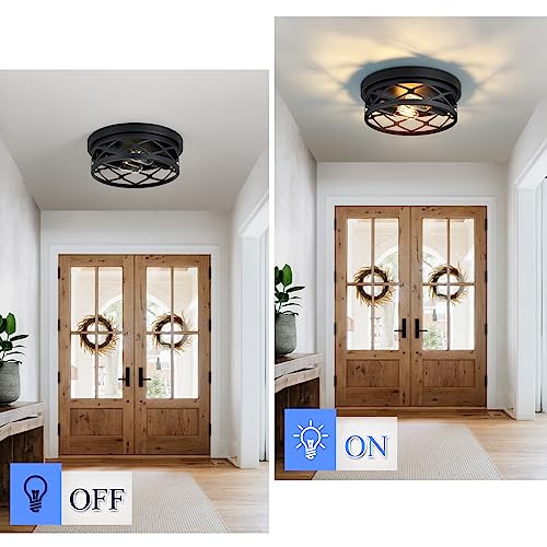 Flush Mount Ceiling Light Fixture for Hallway (2 Count)