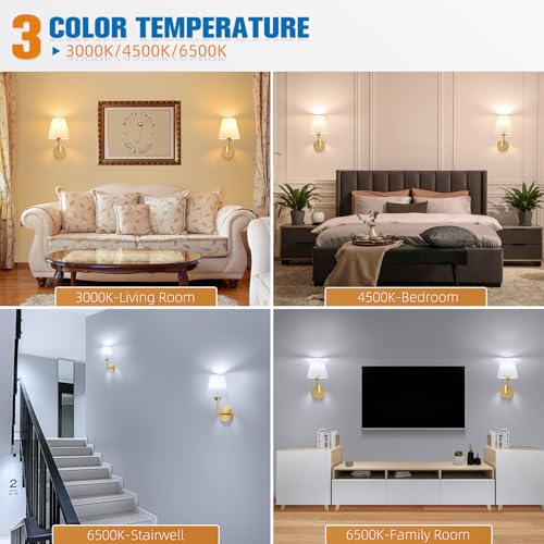 13.8 inch Battery Operated Wall Sconce Set of 2 (2 Count)