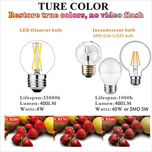 G16.5 E26 Light Bulb (6 Count)