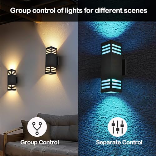 Smart Outdoor Wall Sconce