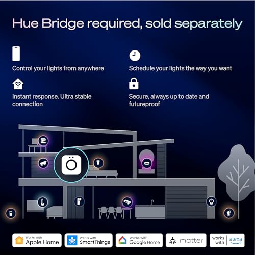 Hue Play Floor Lamp