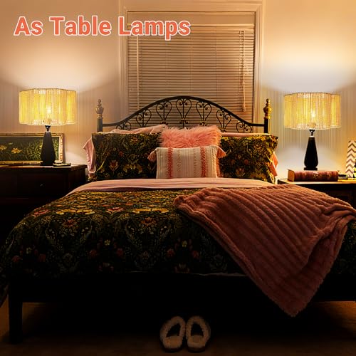 Hanging Light Lamp Shades Boho Rattan Lamp Shades