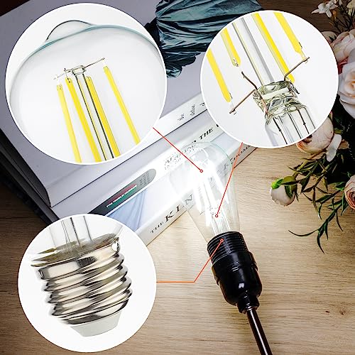 Vintage LED Edison Bulbs 60 Watt Equivalent (12 Count)
