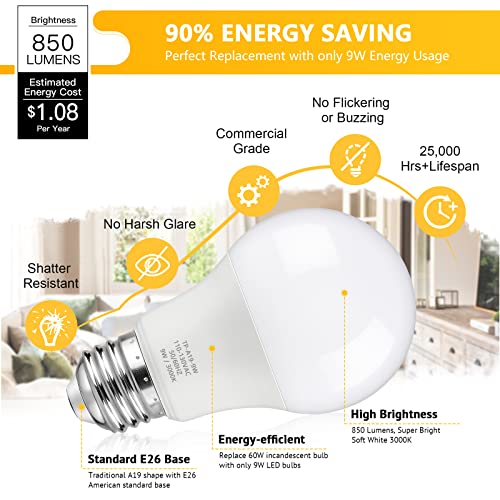 A19 LED Light Bulbs (4 Count)