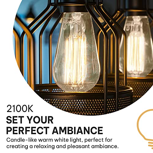 Vintage Incandescent Edison Light Bulbs 60W (4 Count)