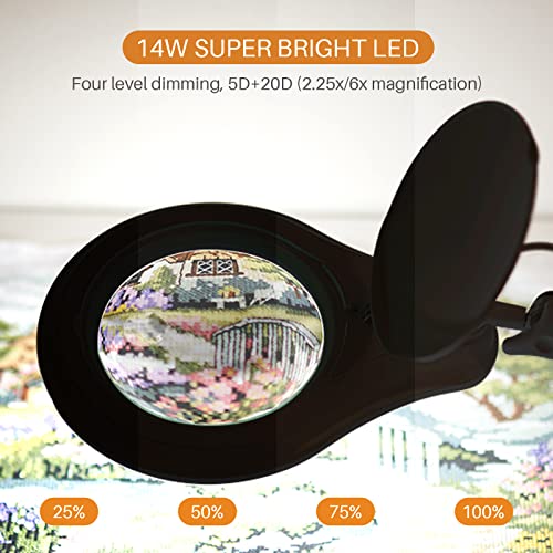 Bifocal LED Magnifying Lamp with Clamp