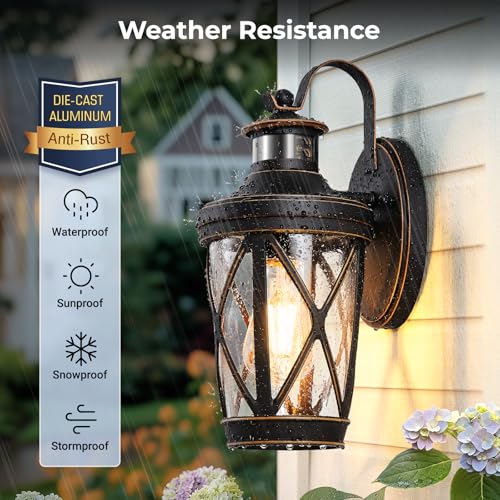 Bronze Outdoor Porch Light (Oil Rubbed Bronze (Gold Trim) / 1-Pack)