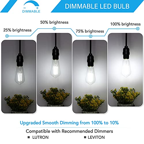 Dimmable Vintage LED Edison Bulbs 60W Equivalent 6W 850 Lumens (12 Count)