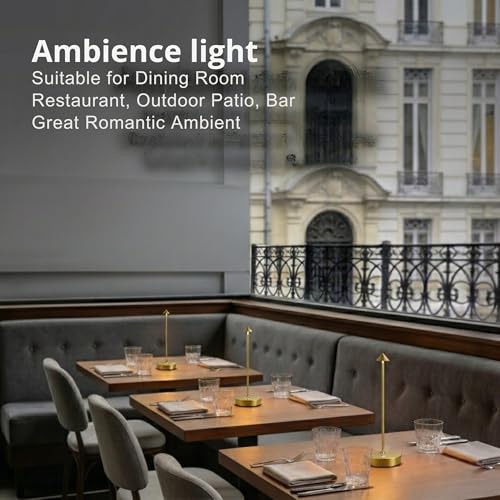 LED Cordless Rechargeable Table Lamps (2 Count)