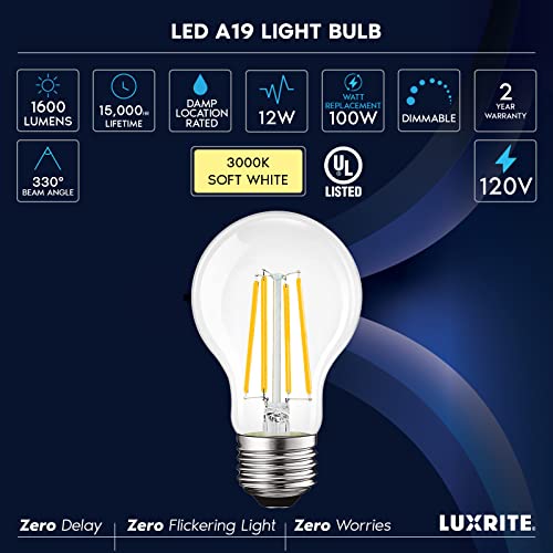 Vintage A19 LED Light Bulbs 100W Equivalent (2 Count)