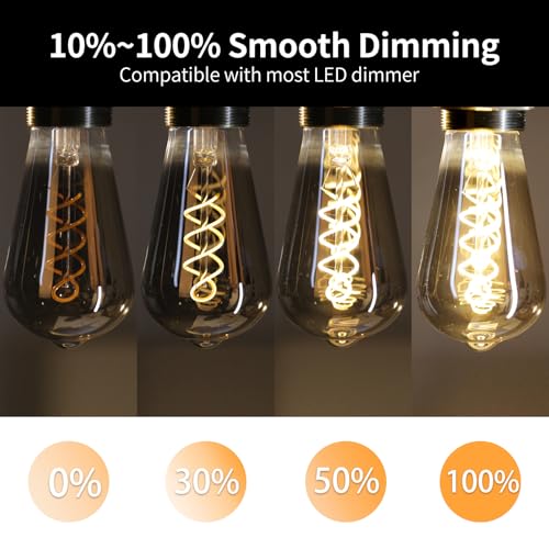 E26 ST64 Vintage Edison Light Bulbs