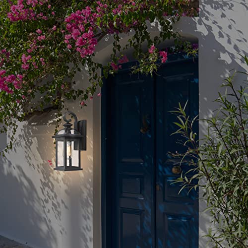 Outdoor Lights Fixtures Wall Mount (2 Count)