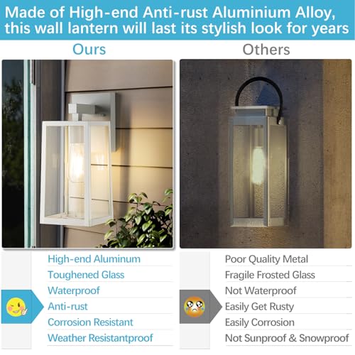 Outdoor Wall Light Fixtures (2 Count)