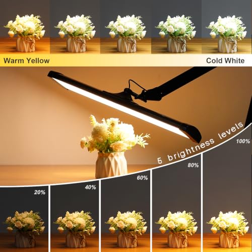 24 Inch LED Architect Desk Lamp with Clamp