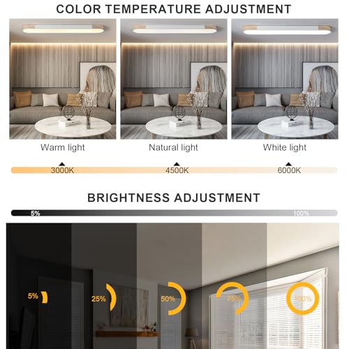 Modern LED Ceiling Light