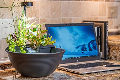AquaGarden Tabletop Fountain Kit