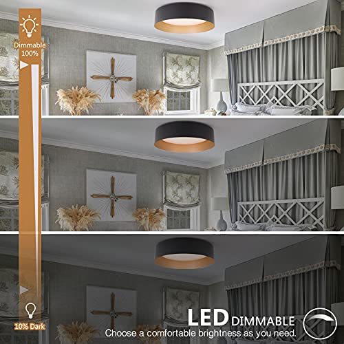 Flush Mount Ceiling Light