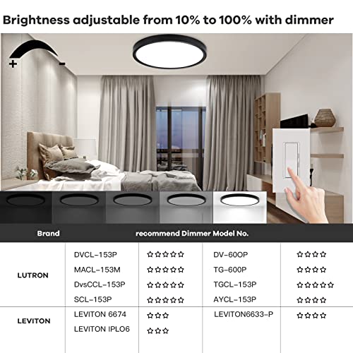 Dimmable Flush Mount Ceiling Light
