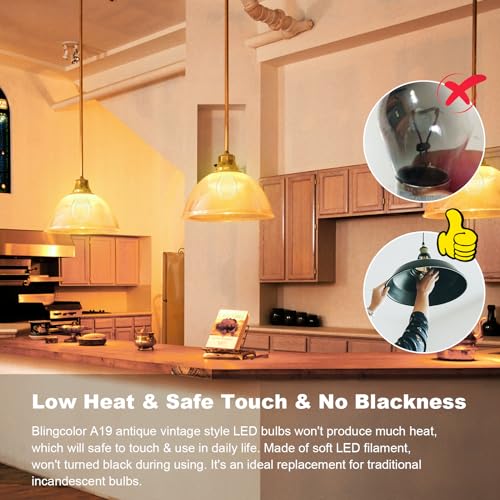 E26 Dimmable A19 Vintage 6W LED Edison Bulbs 2700K Decorative Light Bulbs (4 Count)