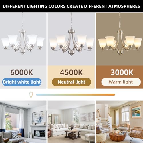 6 Lights Brushed Nickel Dining Room Light Fixture Farmhouse Modern Chandelier Pendant Light Silver Adjustable Ceiling Hanging Lighting with Frosted Glass for Kitchen Island Living Room Foyer (6 Count)