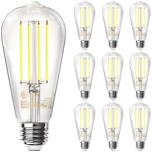 LED Edison Light Bulbs (10 Count)