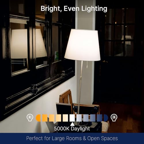 100W Equivalent LED Edison Bulbs (6 Count)