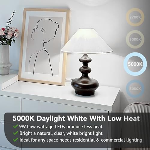 A19 LED Light Bulbs (35 Count)