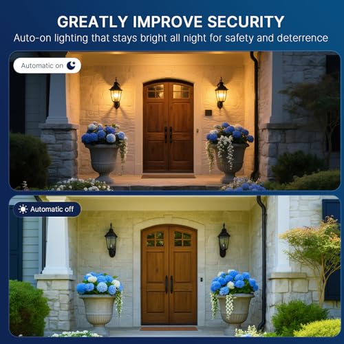 Dusk to Dawn Outdoor Sensor ST19 LED Light Bulb (8 Count)