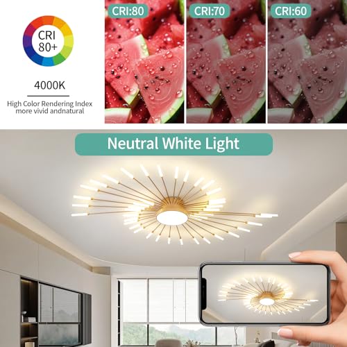 Modern Ceiling Light