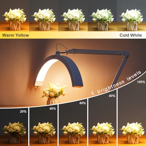 LED Half Moon Light with Desk Clamp