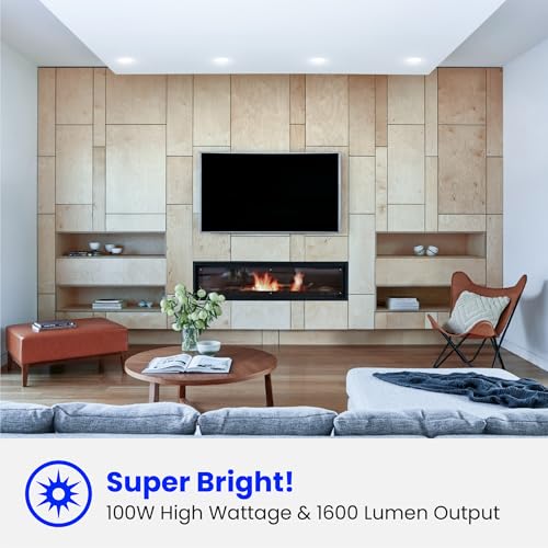 BR30 LED Light Bulbs (6 Count)