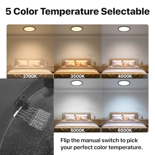 12 Inch Black LED Flush Mount Ceiling Light Fixture (2 Count)