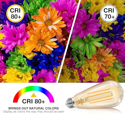 4 Pack Vintage LED Edison Bulbs (4 Count)