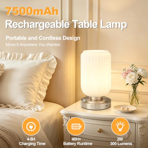 Cordless Table Lamp for Bedroom