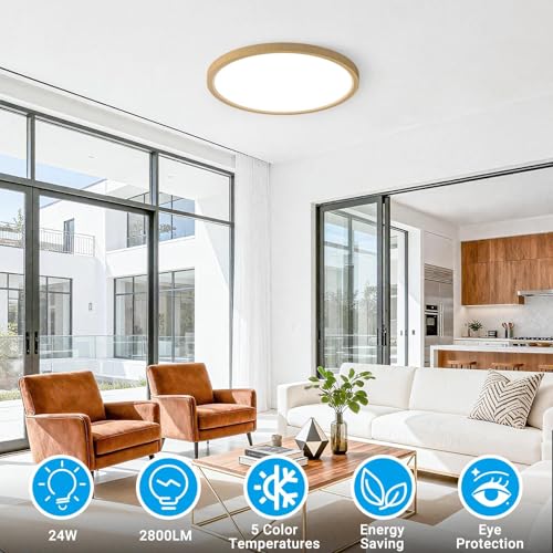 LED Flush Mount Ceiling Light