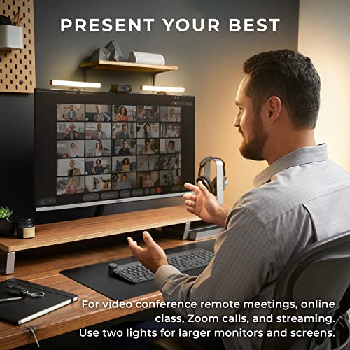 Add On Video Conference Light (2 Count)
