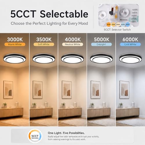 20 Inch LED Flush Mount Ceiling Light 2 Pack (Black / 20Inch-2pack)