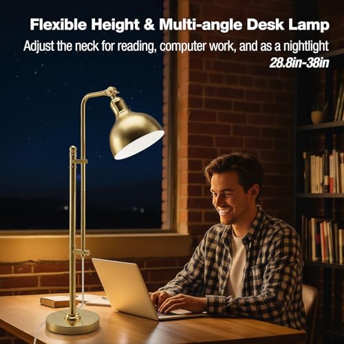 Industrial Adjustable Desk Lamp for Home Office
