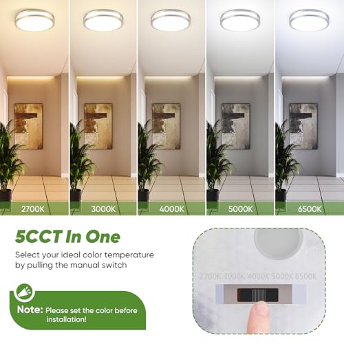 2 Pack 12 Inch Flush Mount LED Ceiling Lights (2 Count)