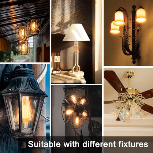 LED Edison Light Bulbs