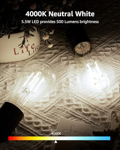 Dimmable E26 Edison LED Bulbs (6 Count)