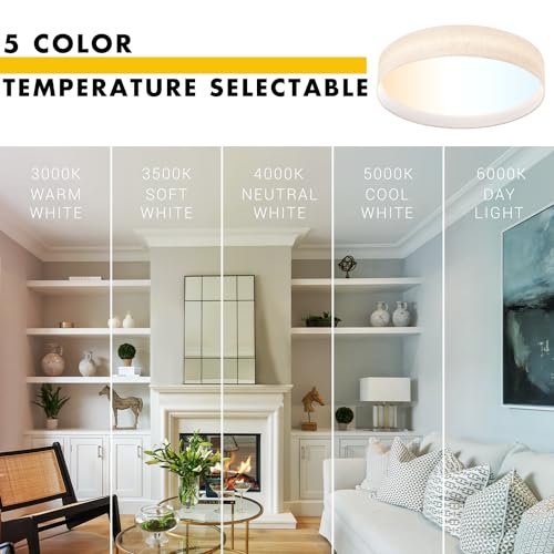 LED Flush Mount Ceiling Light 20 inch