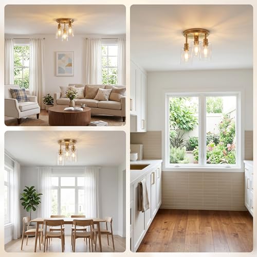 Semi Flush Mount Ceiling Light
