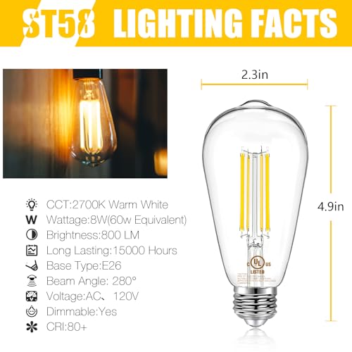 12 Pack Vintage LED Edison Bulbs (12 Count)