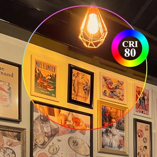 Dimmable Edison Bulbs 100W Equivalent (6 Count)