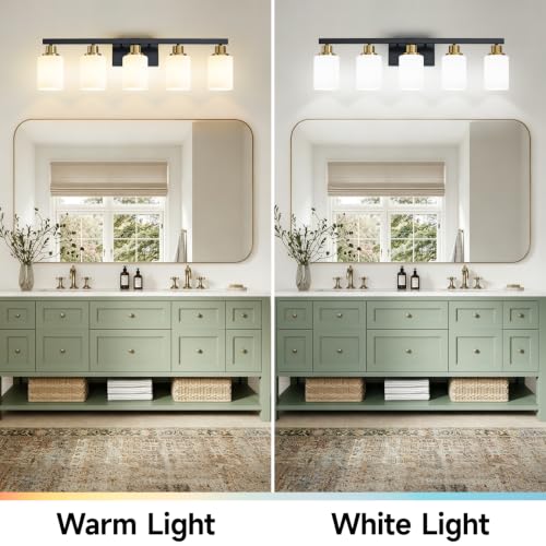 Bathroom Vanity Light 5